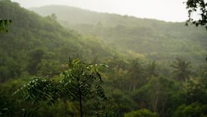 Weather and Travel Plannings