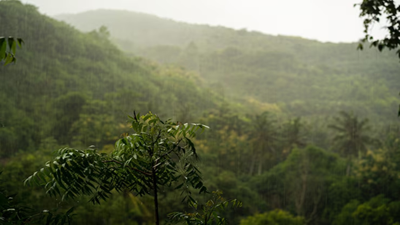 Waterfalls, Nature and Staycations: Plan Your Perfect Monsoon Getaway with Affordability