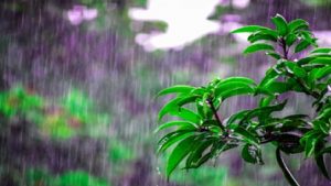Mumbai Rains