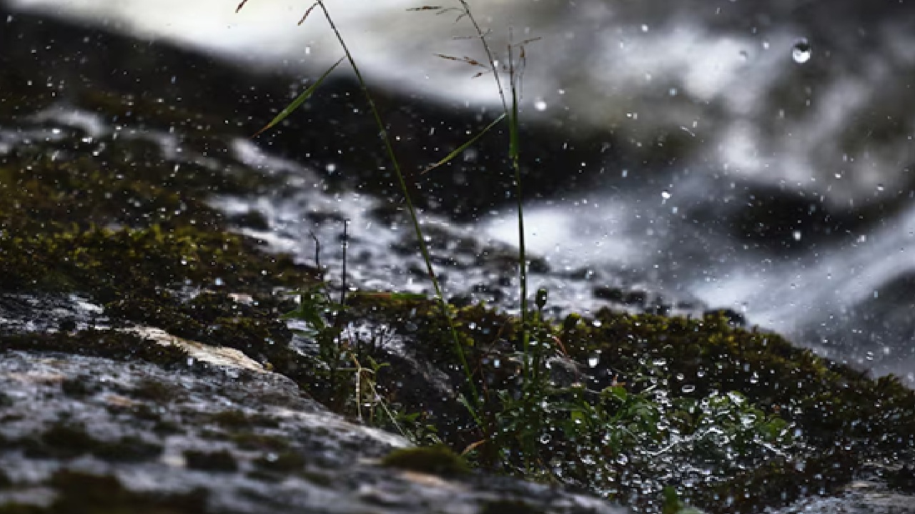 Southwest Monsoon Slowdown: Nationwide Rainfall Deficit Widens, Heat and Humidity Continues