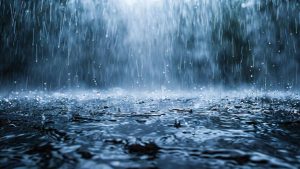Southwest Monsoon arrived in South Konkan.