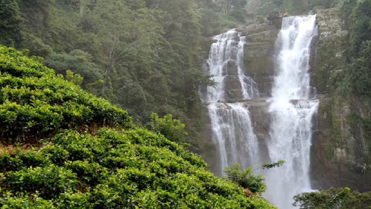 Scenic Waterfalls to Explore in Maharashtra This Rainy Season