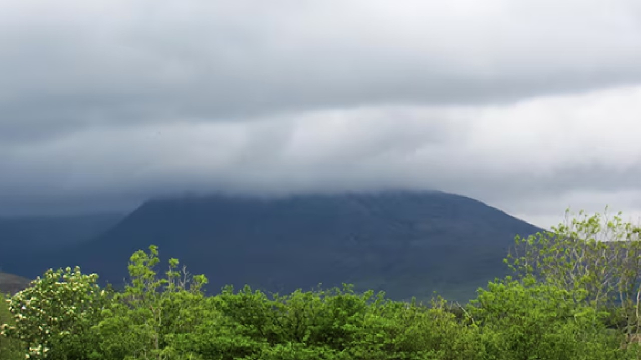 You can also simply plan a Mumbai to Pune or Nashik trip. There are also some amazing places for staycations in the monsoon. You can visit places like Bhandardara. There are many options which you can try for staycations and have a relaxing family time.