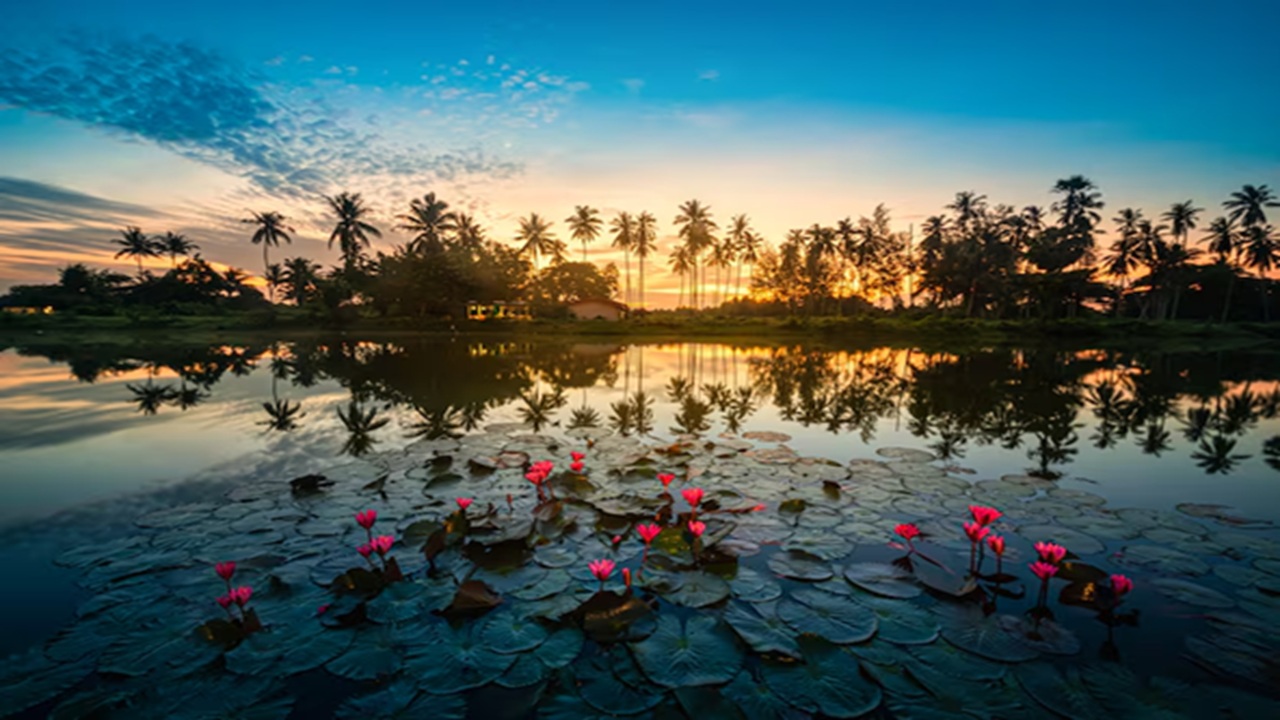 Stunning Offbeat Places in India for the Perfect Seasonal Escape