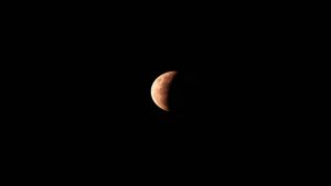 Partial Lunar Eclipse