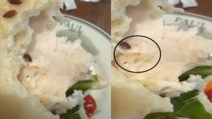 Food Safety