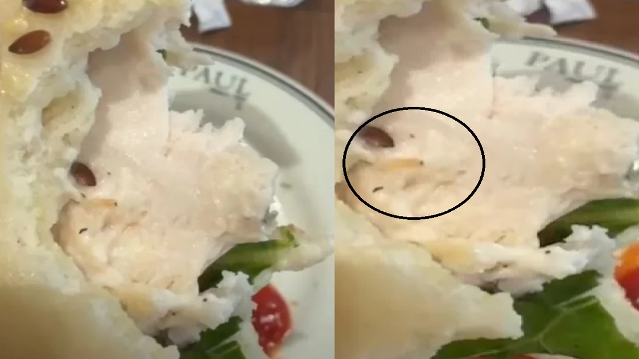 Worm Found Crawling in Sandwich at PAUL’s Gurugram Outlet, Eatery Responds