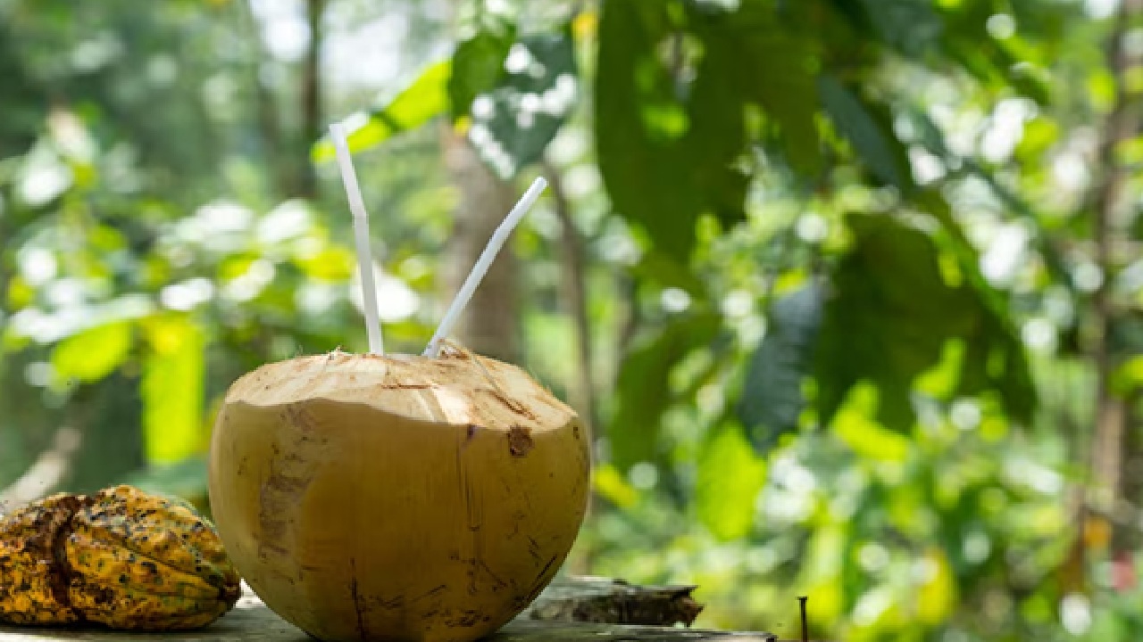 “Paying More For Everything”, Man Compares Coconut Water Prices in Tier 1 Cities; Netizens React