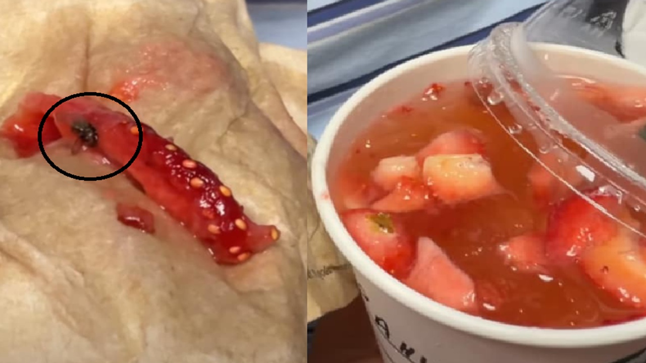 Dead Fly Found in Starbucks Strawberry Drink, Company Responds
