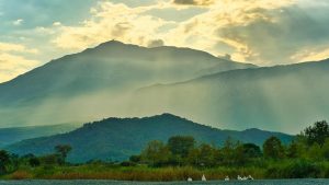Travel Ideas