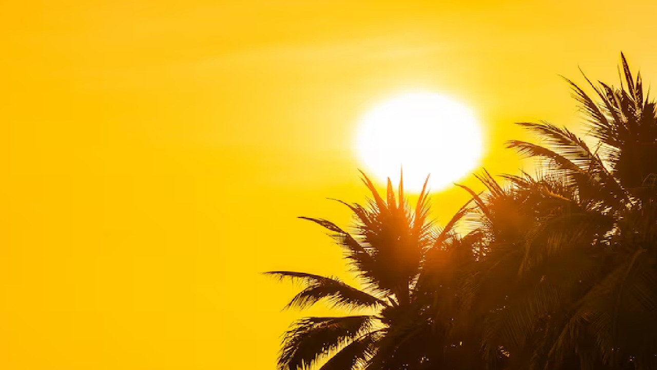 Gentle Ways to Protect Sensitive Skin in Scorching Sun