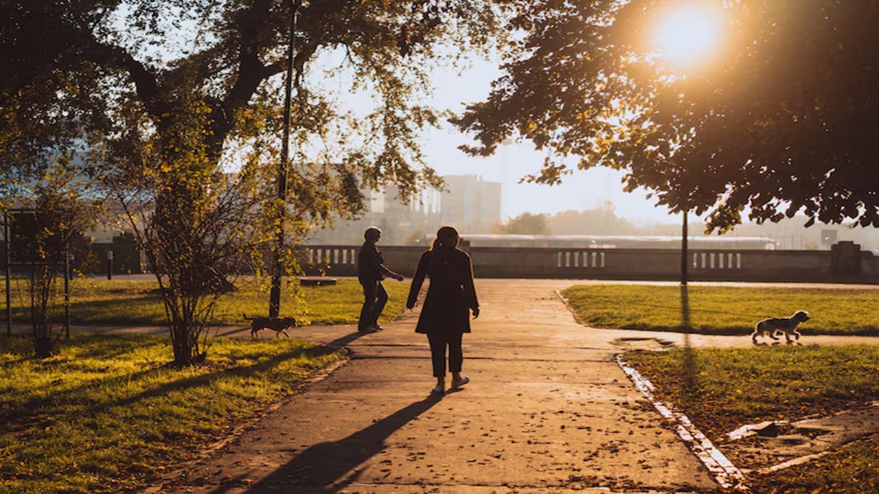 What are the Benefits of an Evening Walk? Everything You Need to Know What are the Benefits of an Evening Walk? Everything You Need to Know